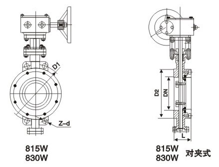 D371W美标對(duì)夾式蝶閥