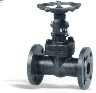 鍛鋼法(fǎ)蘭端閘閥(fá)